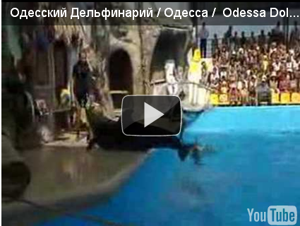 Видео. Одесский Дельфинарий